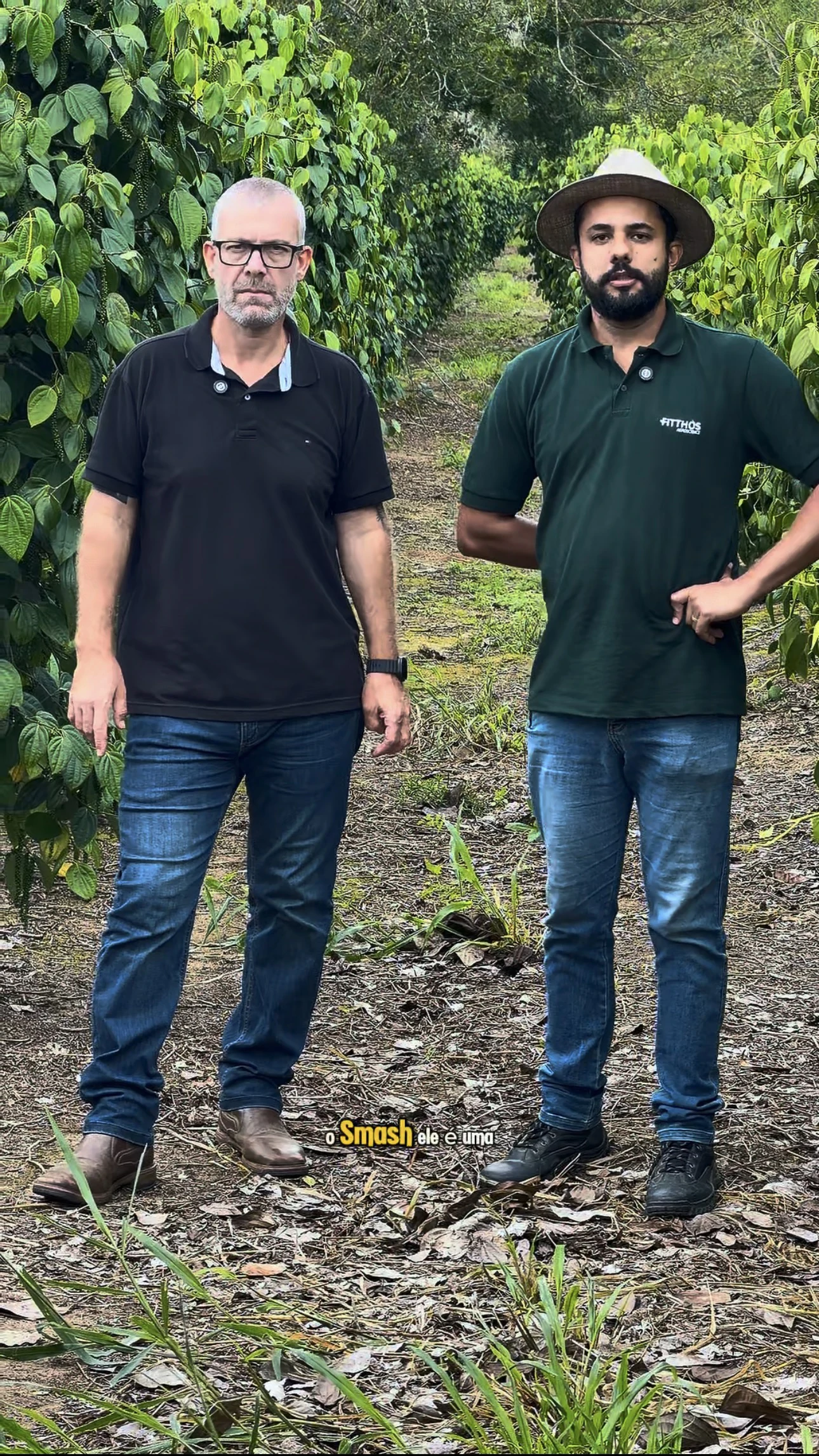 Experiência prática da Erasmo Agro no campo — imagem 17 de 38